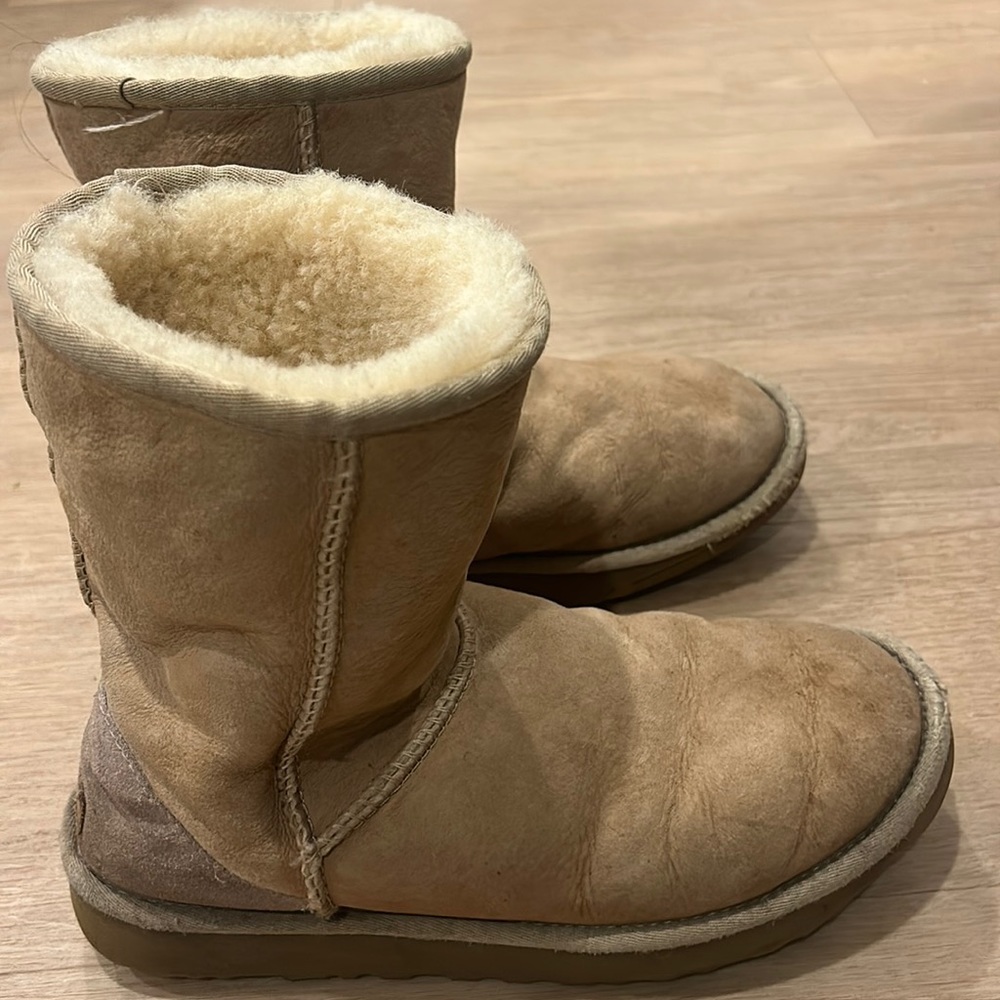 Best seller women's UGG classic short